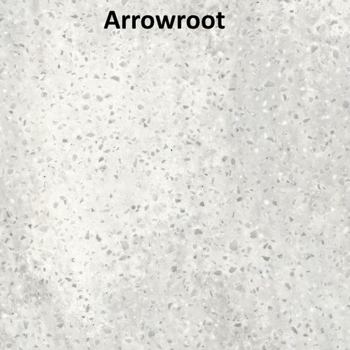 Dupont corian arrowroot